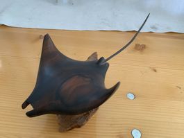 Holzfigur Manta von Palau Mikronesien