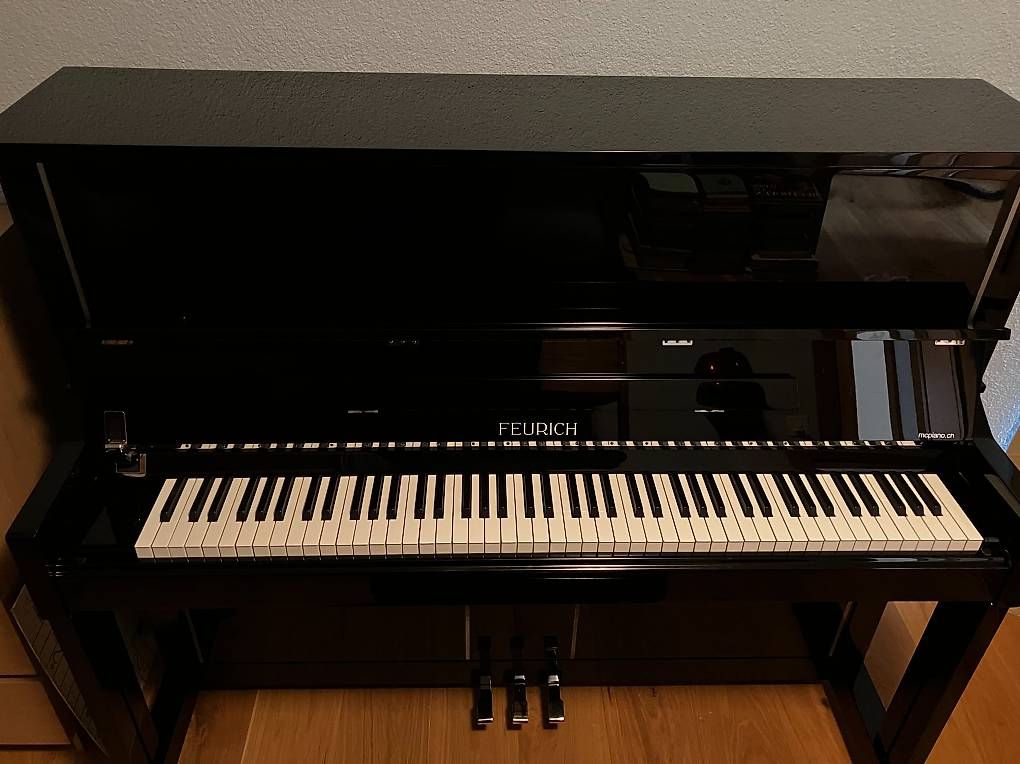 Feurich Strumenti musicali: Feurich Klavier – Usato da Elfingen venduto da inf_m7fb 2