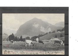 FR Au Pâturage (Vallée de la Jogne, Gruyere) 1904