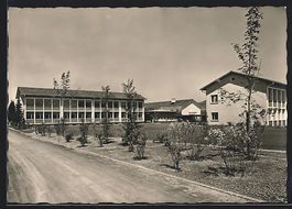 Sursee, Neufeld-Schulhaus mit Strassenpa