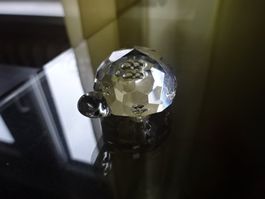 Swarovski Kristall Tierli Schildkröte Turtle Familie