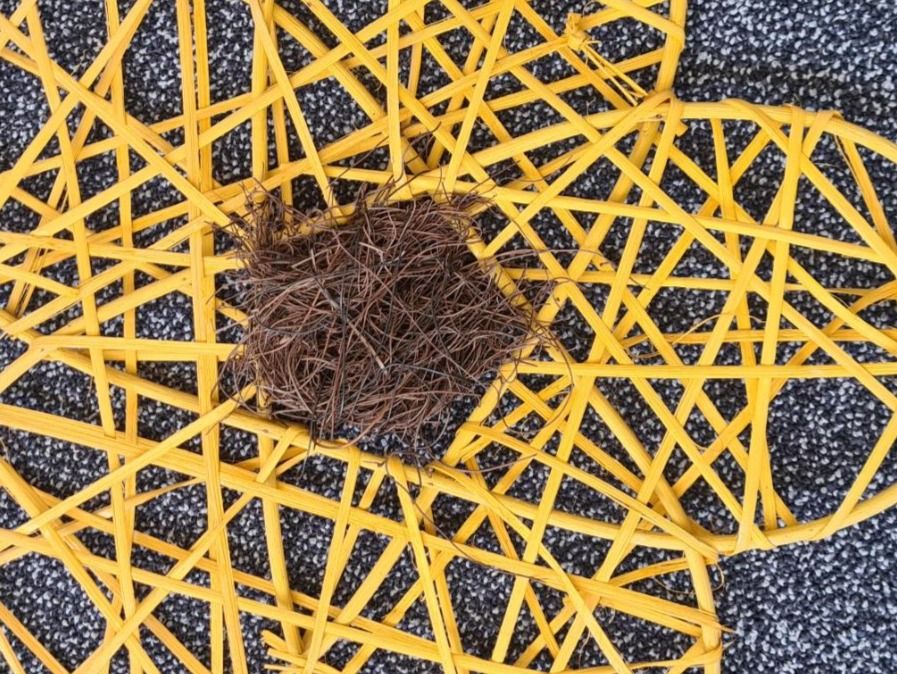 Tutte le decorazioni: Strohblüten geflochten ca. 40cm – Nuovo (secondo la descrizione) da Urdorf venduto da sumrum 2