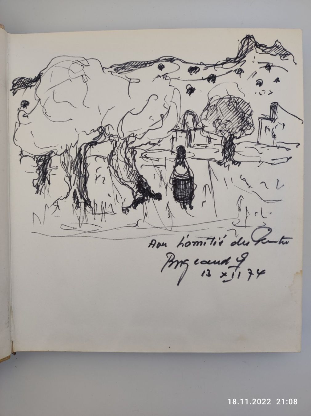 Libri: GEORGES BORGEAUD - MIT ORIGINAL-ZEICHNUNG – Usato da Goldach venduto da Gaip
