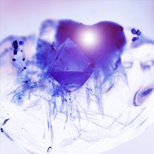 Profile image of Zuza888