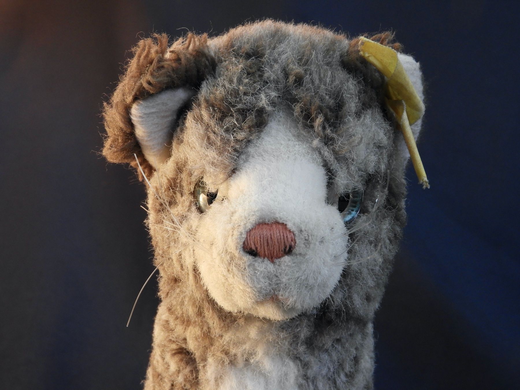 Steiff Spielzeuge: Original Steiff  Katze Plüschtiet – Gebraucht aus Horw von luzernicus 9