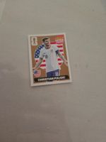 Carte Panini Christian Pulisic USA Extra Sticker