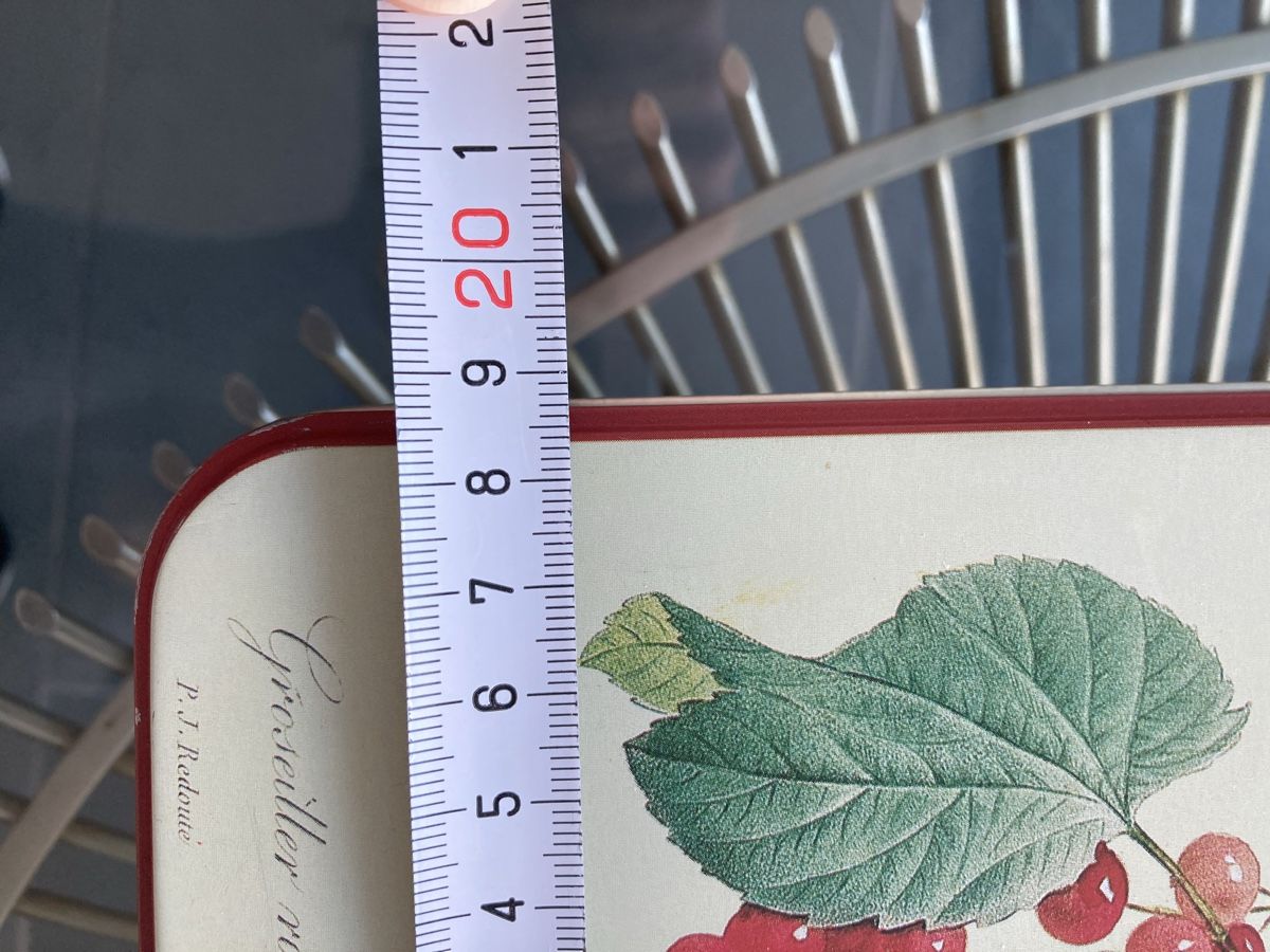 Tutte le decorazioni: Blechdose mit Beerenmotiv, ungebraucht, Nostalgie – Nuovo (secondo la descrizione) da Zürich venduto da dolcicaramelle2 2