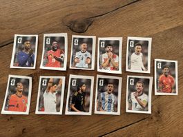 Panini WM 2026 Cola Sticker
