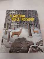 Il mistero delle Incisioni  Archeologia rupestre - TICINO