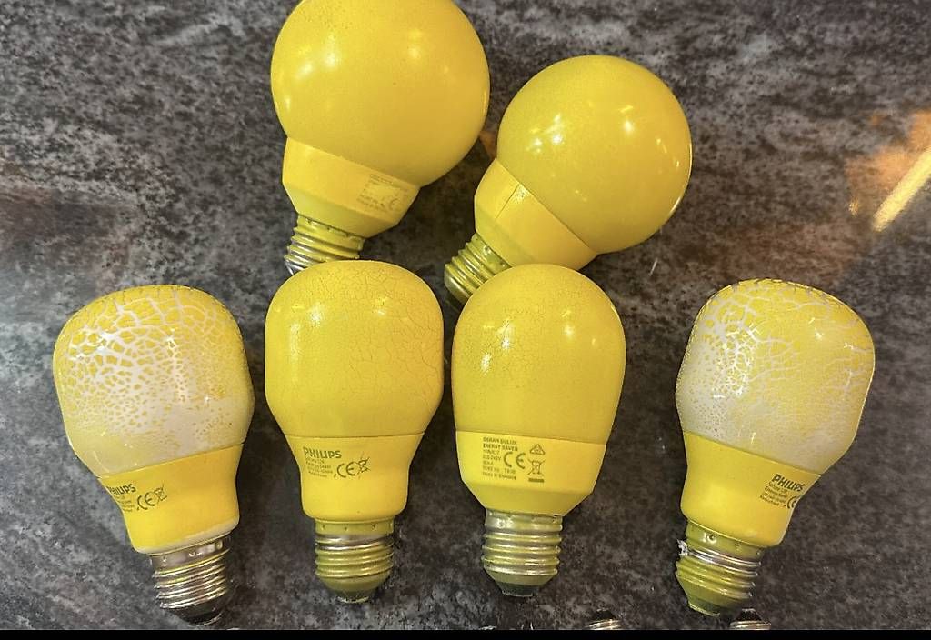 Lampen: 28 ampoules basse consommation  – Gebraucht aus YVERDON-LES-BAINS von Lazuli 3