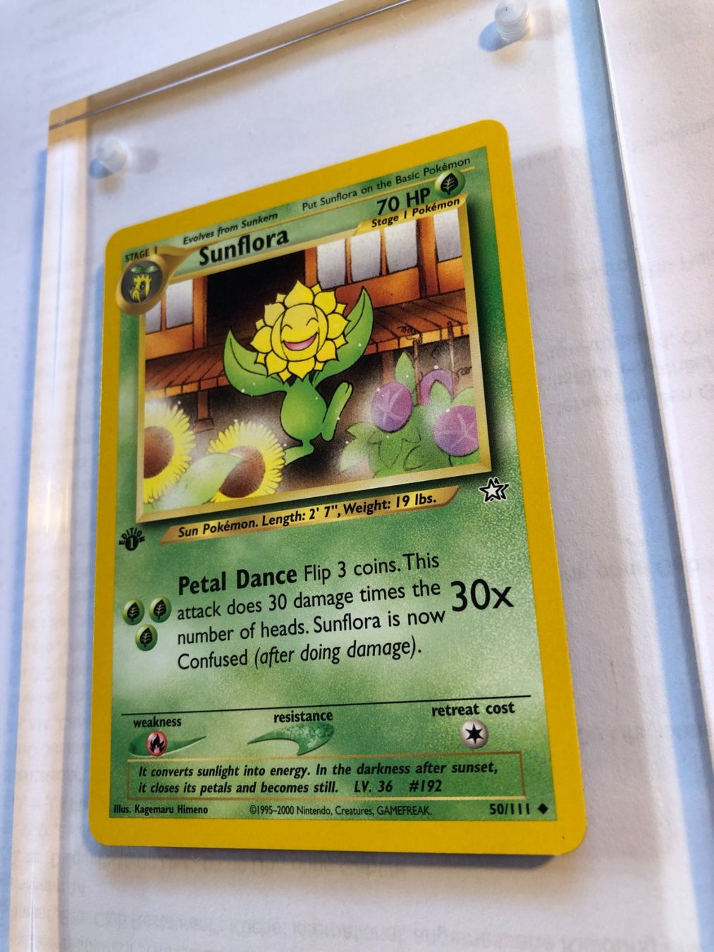 Carte collezionabili: Sunflora (unc.) 1st Neo Genesis - MINT - ab 1.- – Usato da Giubiasco venduto da dan_pr8b 2