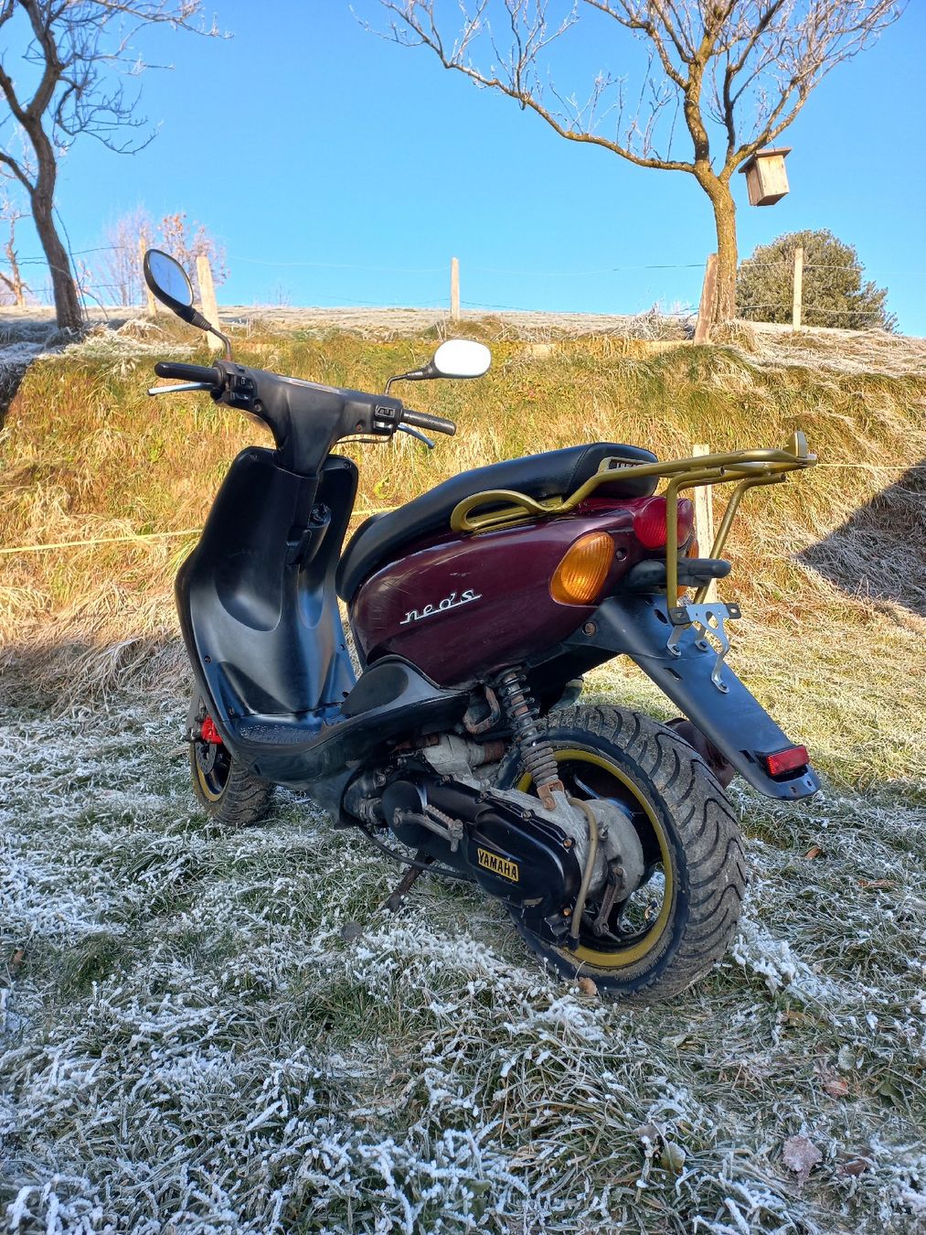 Yamaha Scooter: Roller Yamaha 100ccm 2-Takt – Usato da Buchen BE venduto da Reberparts 1