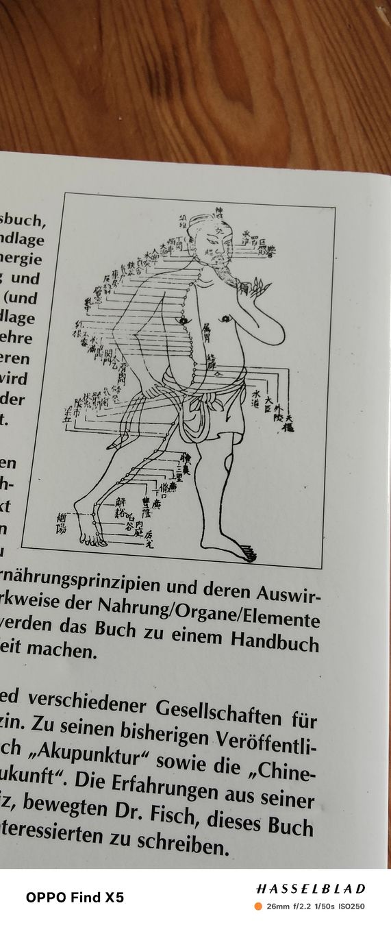 Libri: chinesische Heilkunst in der Ernährung – Usato da Volken venduto da katz5 3