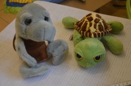2 SCHILDKROTE PELUCHE