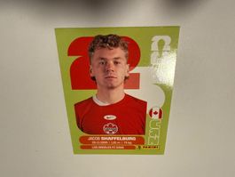 Shaffelburg CAN14 - Panini CH Edition WM 2026