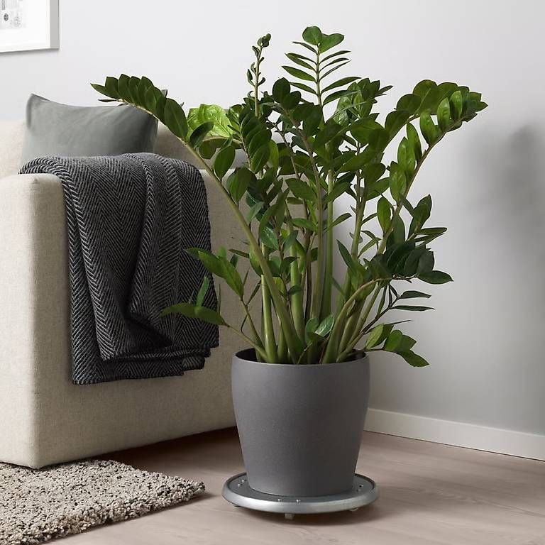 Vasi per fiori: IKEA PERSILLADE Übertopf 24cm – Usato da Basel venduto da Klingelbergstrasse 2