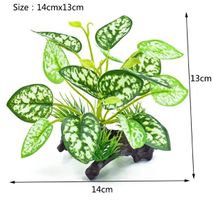 Ensemble de plante aquarium - 14cm x 13cm