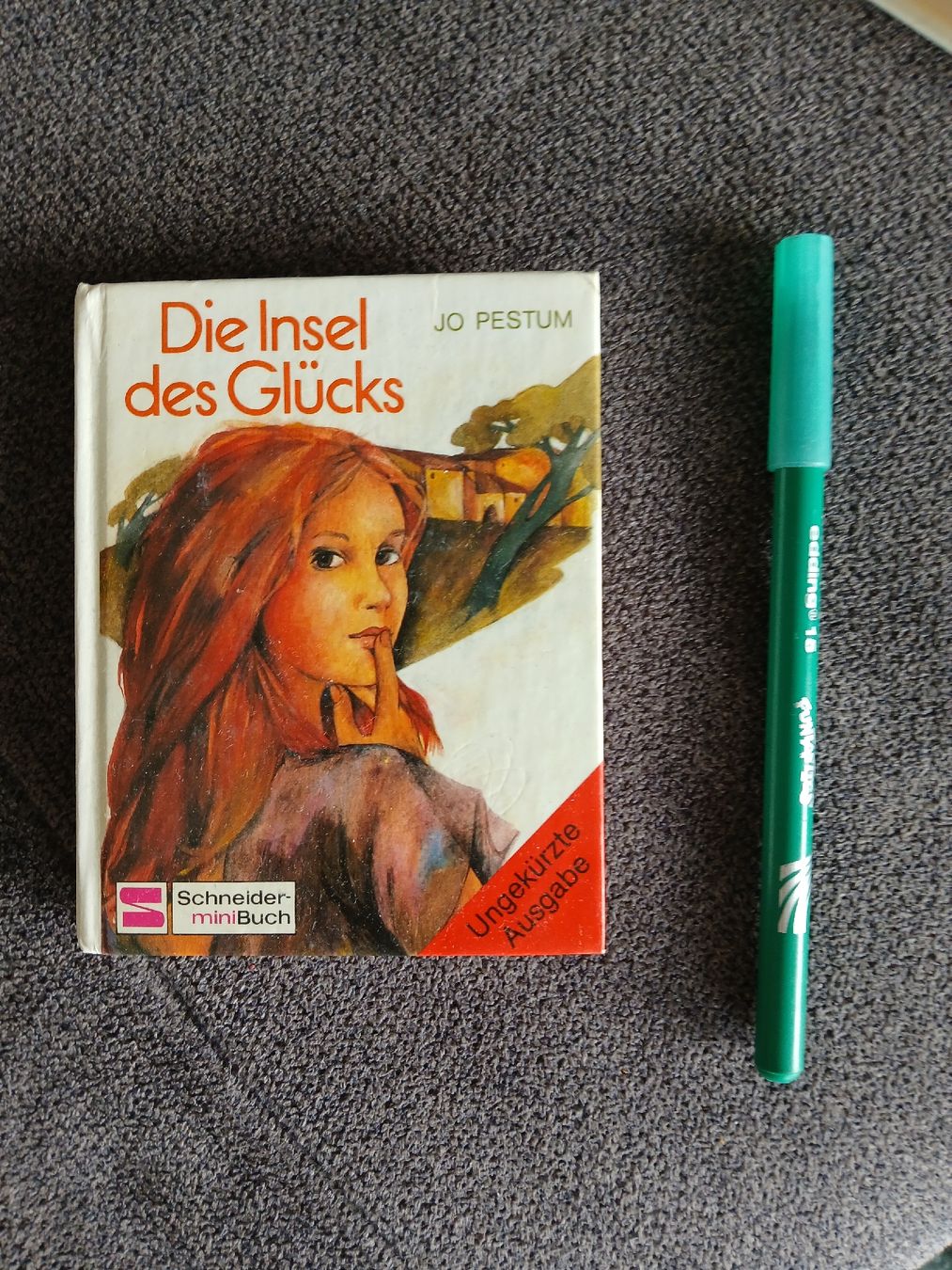 Libri: Schneider miniBuch (23 Stk.) – Usato da Liestal venduto da piperpa 1
