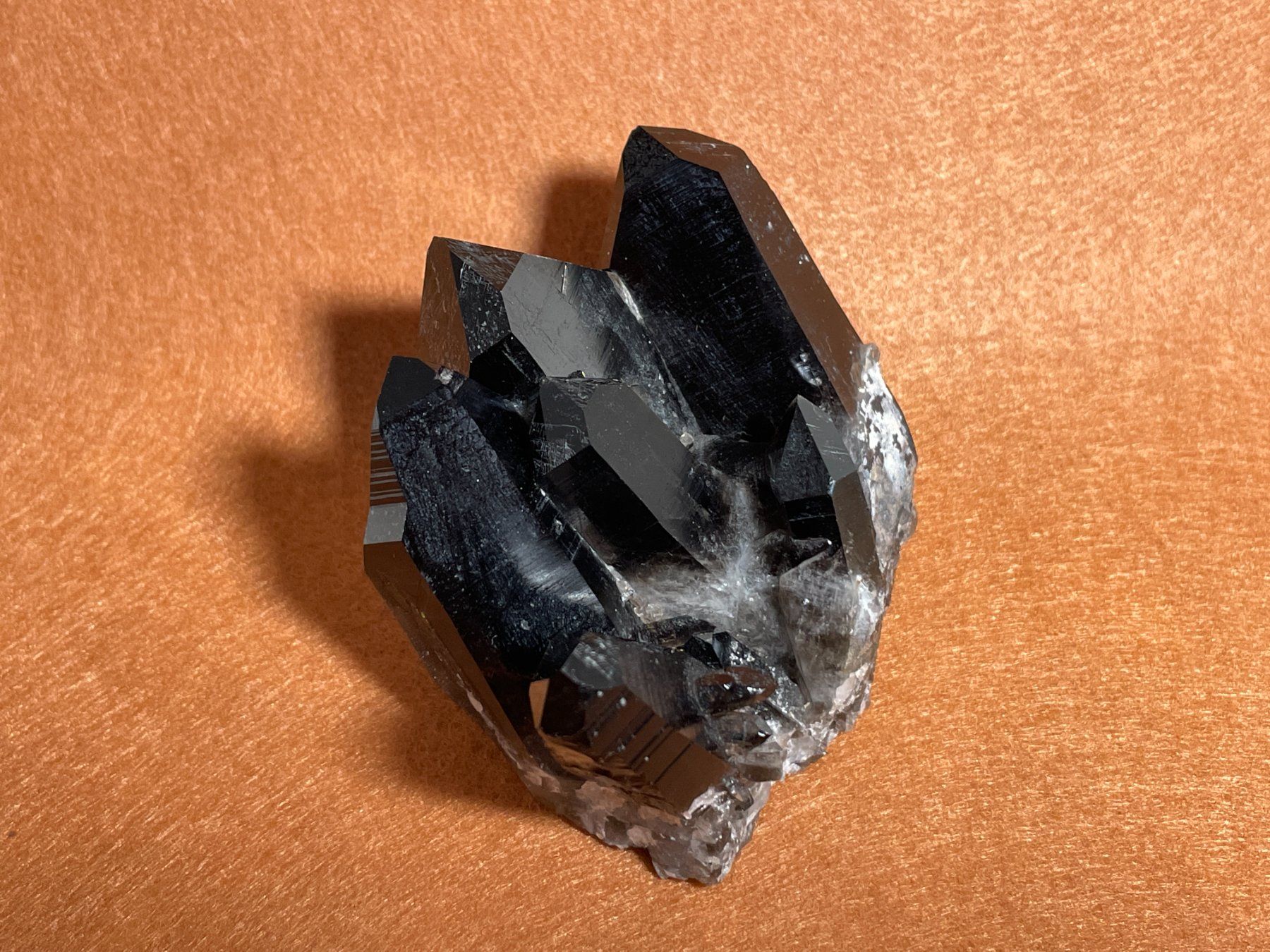 Minerali & Pietre curative: Quartz morion – Nuovo (secondo la descrizione) da Cernier venduto da Tashi_Delek 2