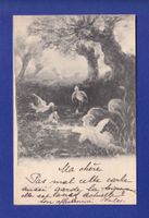 ENFANT - Bébés et cigognes - 1899