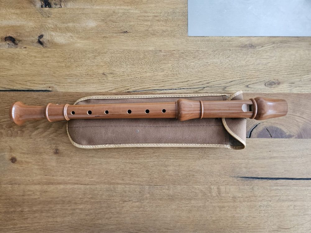 Alt-Blockflöte aus Holz mit Etui Marke Küng (Gebraucht) in Birr für CHF ...