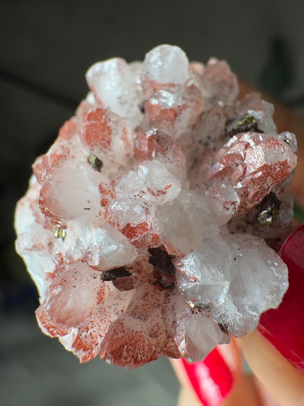Minerali & Pietre curative: Pyrit auf rotem Quarz-Cluster – Nuovo e nell'imballaggio originale da Neuheim venduto da m.hald 4