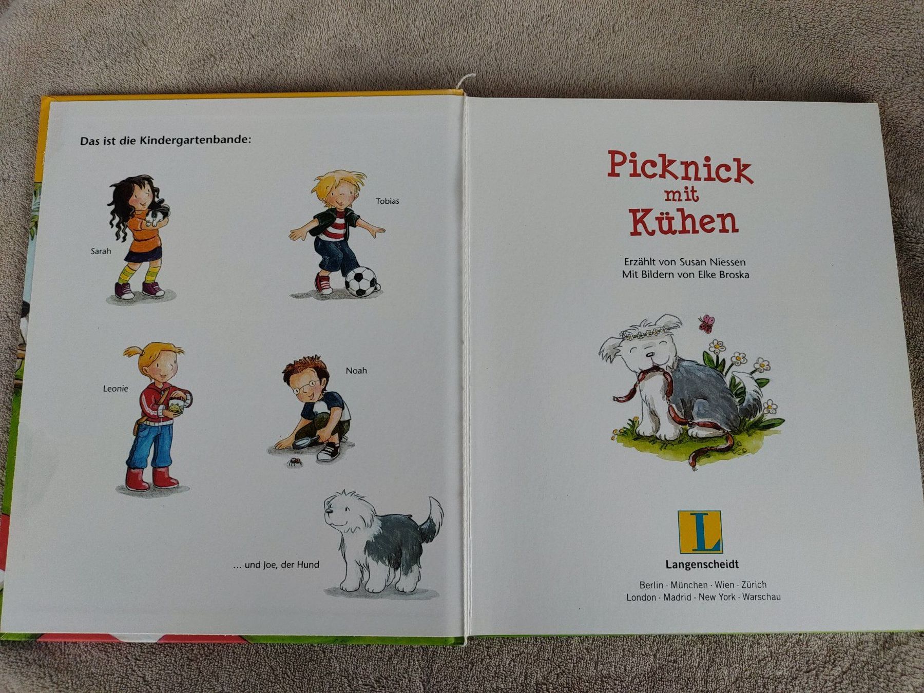 Bücher: Buch Picknick mit Kühen mit CD – Gebraucht aus Strengelbach von Phorensic_30 2