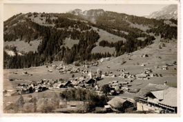 Lenk i.S.  1949