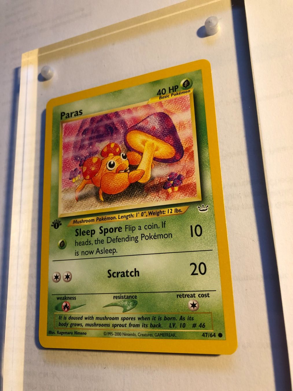 Carte collezionabili: Paras 1st Neo Revelation - MINT - ab 1.- – Usato da Giubiasco venduto da dan_pr8b 2