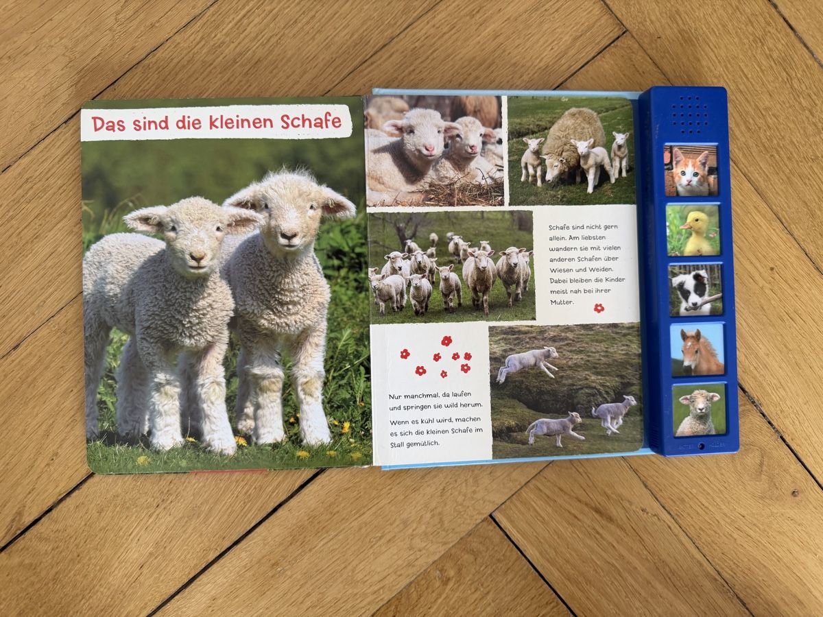 Bücher: Tierkinder Buch mit Tiergeräuschen - Coppenrath Verlag – Gebraucht aus Bern von Elisa64 1