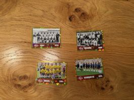 Panini 26 - FWC 9, 10, 13, 15