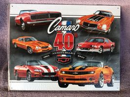 Chevrolet camaro gm 1967-2007