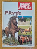 Junior Wissen:  Pferde