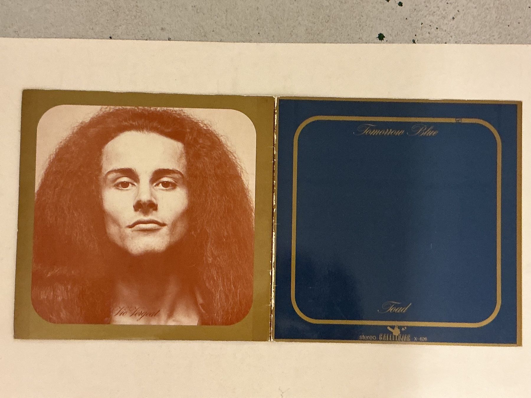 Dischi in vinile: Toad LP - Tomorrow Blue / LP NM – Usato da Winterthur venduto da Tumko-Vinyl