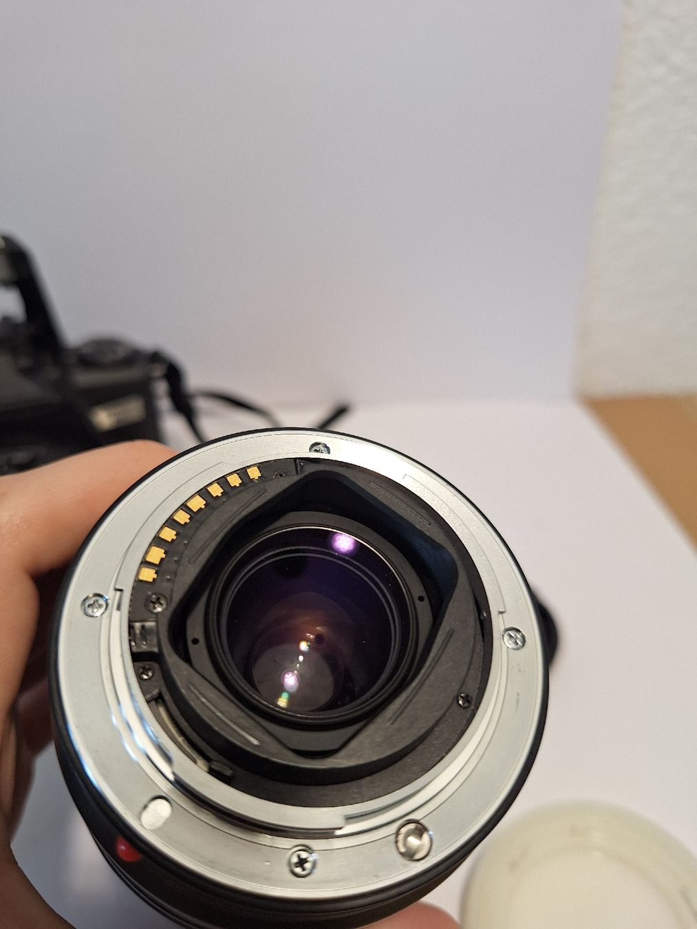 Minolta Fotocamera: Minolta DYNAX 60 + 2 Objektive – Usato da Pfäffikon SZ venduto da TobyPeterson 4