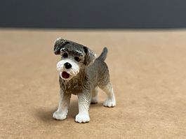 Schleich 13892 Zwergschnauzer Hund Zwerg Schnautzer