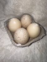 4er Pack Eierkerzen, neu & originalverpackt, Ostern