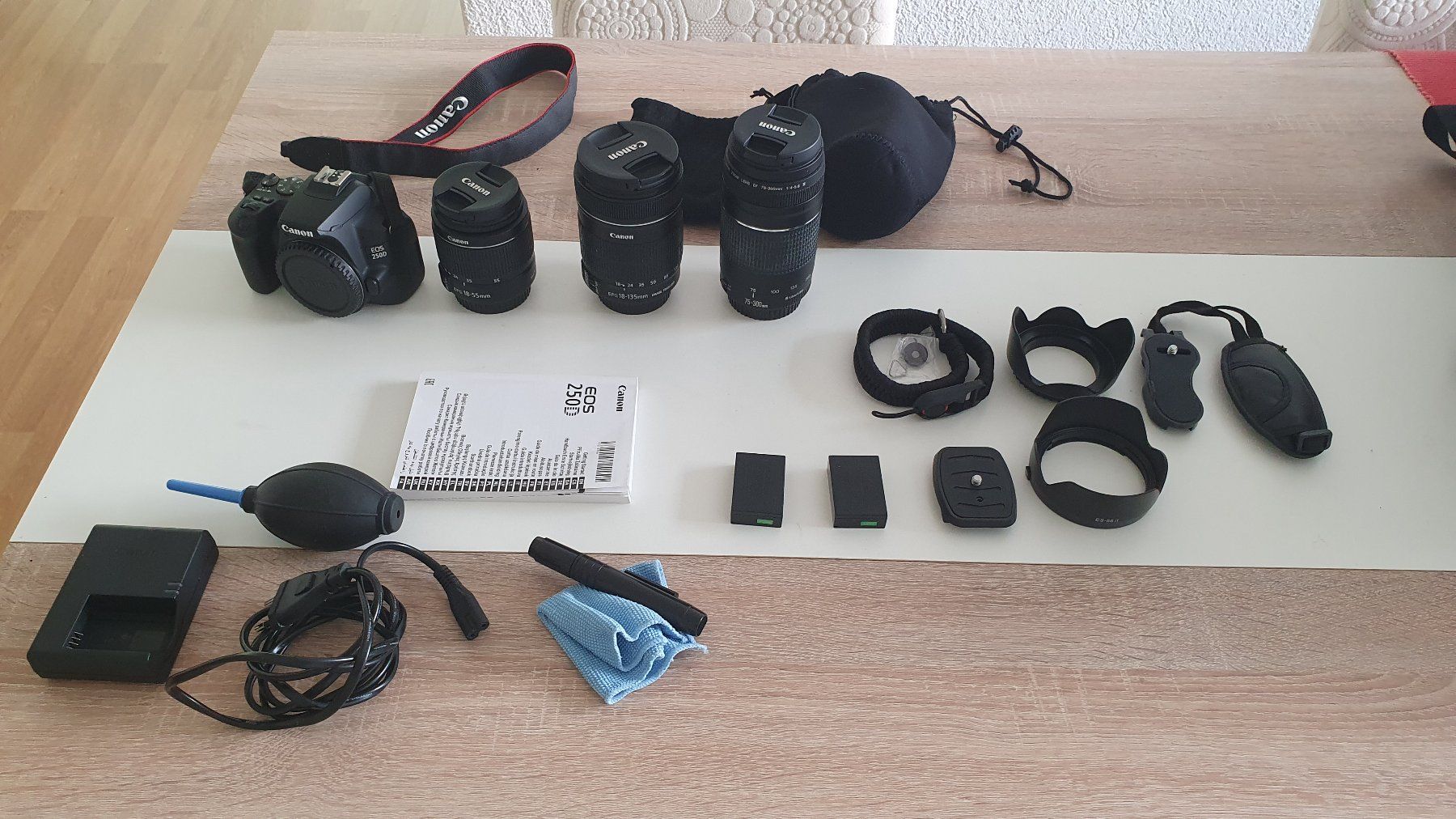 Canon Fotocamera: Canon EOS 250D mit Zubehör – Usato da Kloten venduto da raf_q87h