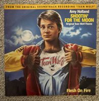 Amy Holland -  Shootin' For The Moon - 7" Single - 80s