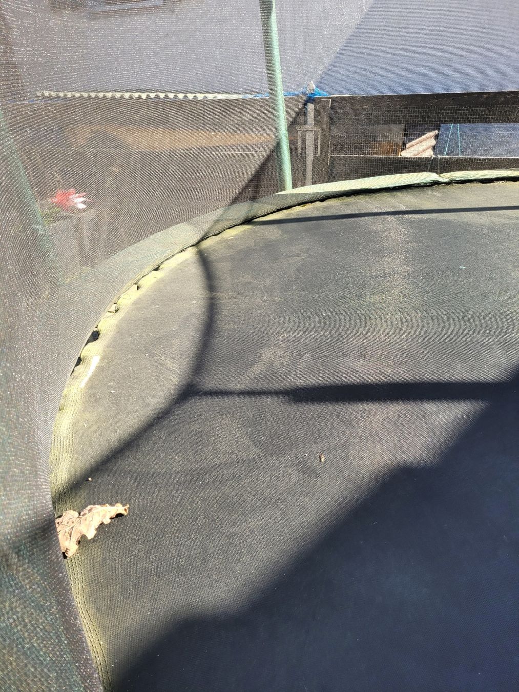 Gonser Trampolini: Trampolin – Usato da Koblenz venduto da Lauschgift1982 5