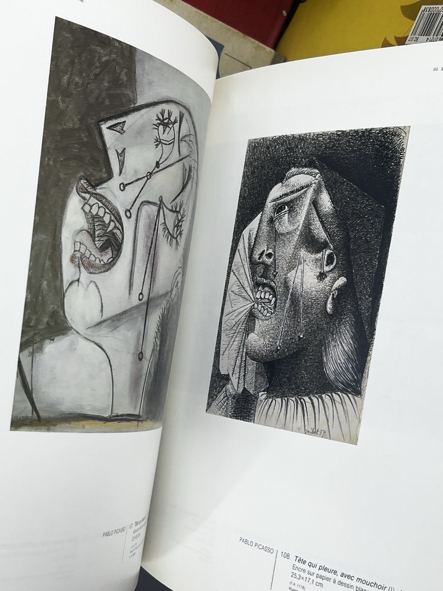 Bücher: Le siècle de picasso – Gebraucht aus Wettingen von NickInc 4