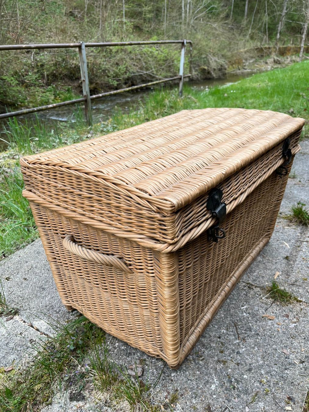 Coffres: Weidentruhe – D'occasion à Neuägeri par Ws193 1