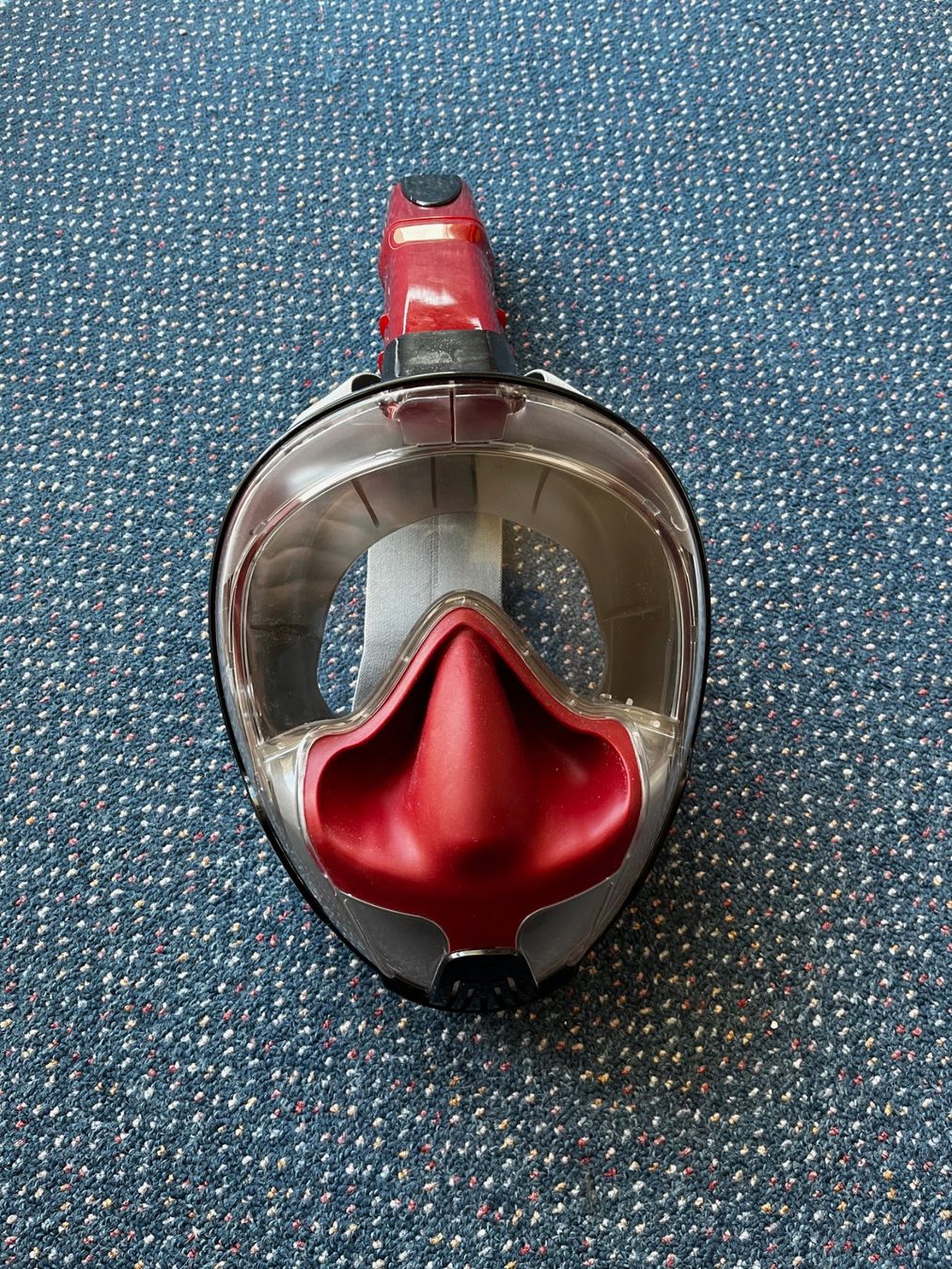 Gesichts- und Gehörschutz: Schwimmmaske – Gebraucht aus Ascona von Patepet