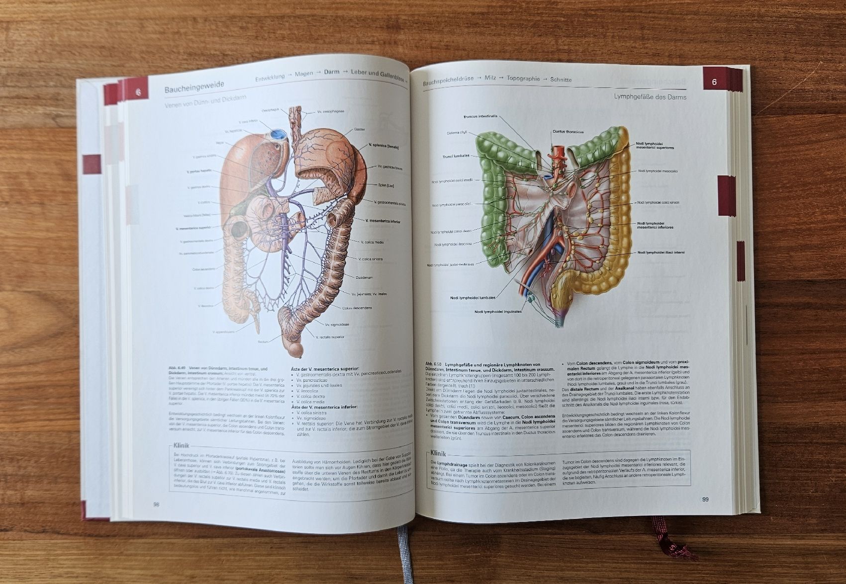 Libri: Anatomie Atlas / Sobotta – Usato da Solothurn venduto da yoganer 2