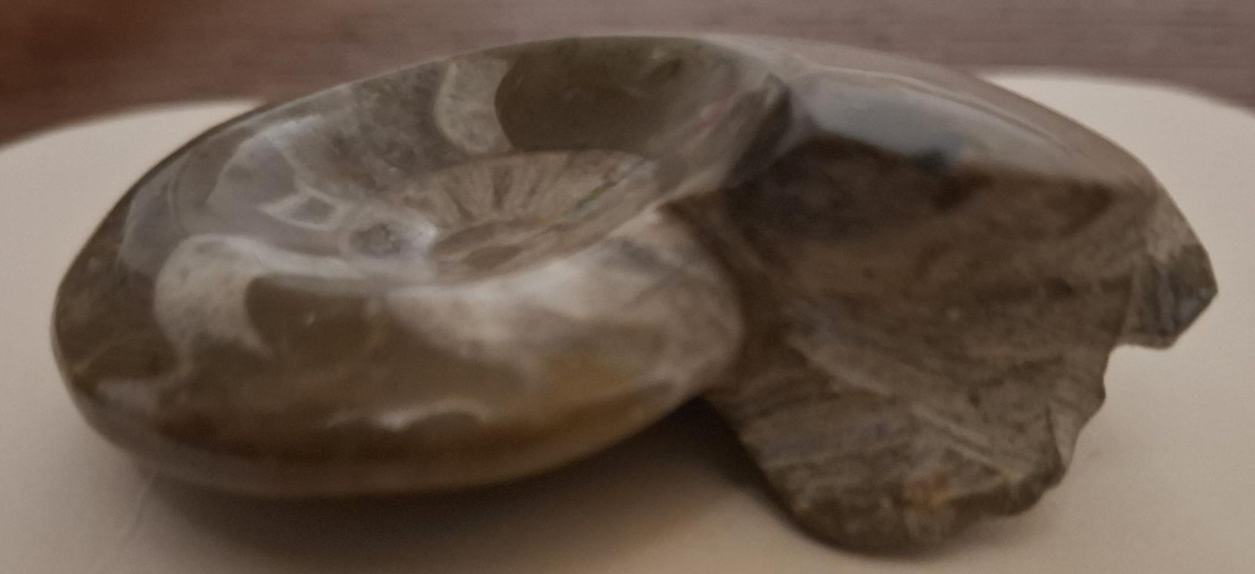 Fossiles: Fossil Ammonit – D'occasion à Uerikon par Kri0 2