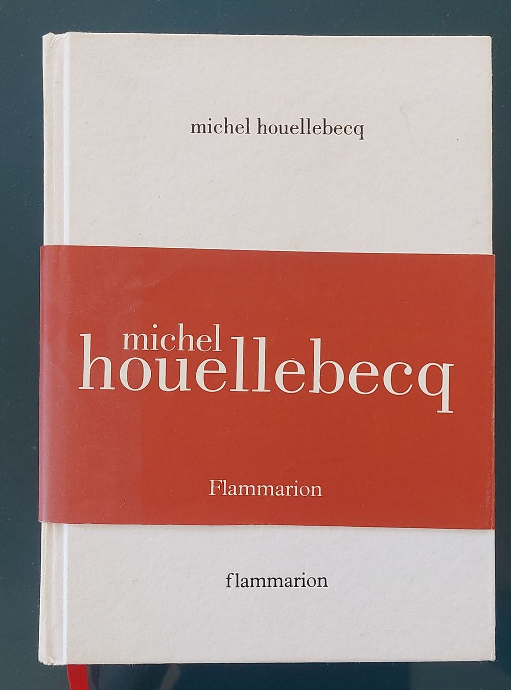 Bücher: Anéantir - Michel Houellebecq – Gebraucht aus Zürich von Taxista