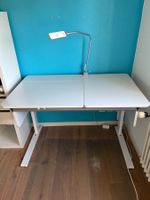Moll Champion Kinder Schreibtisch inkl. Korpus und Lampe