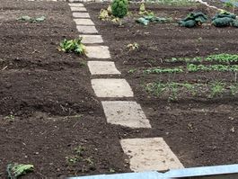 Natursteinplatten / Trittplatten für Garten und Gehweg