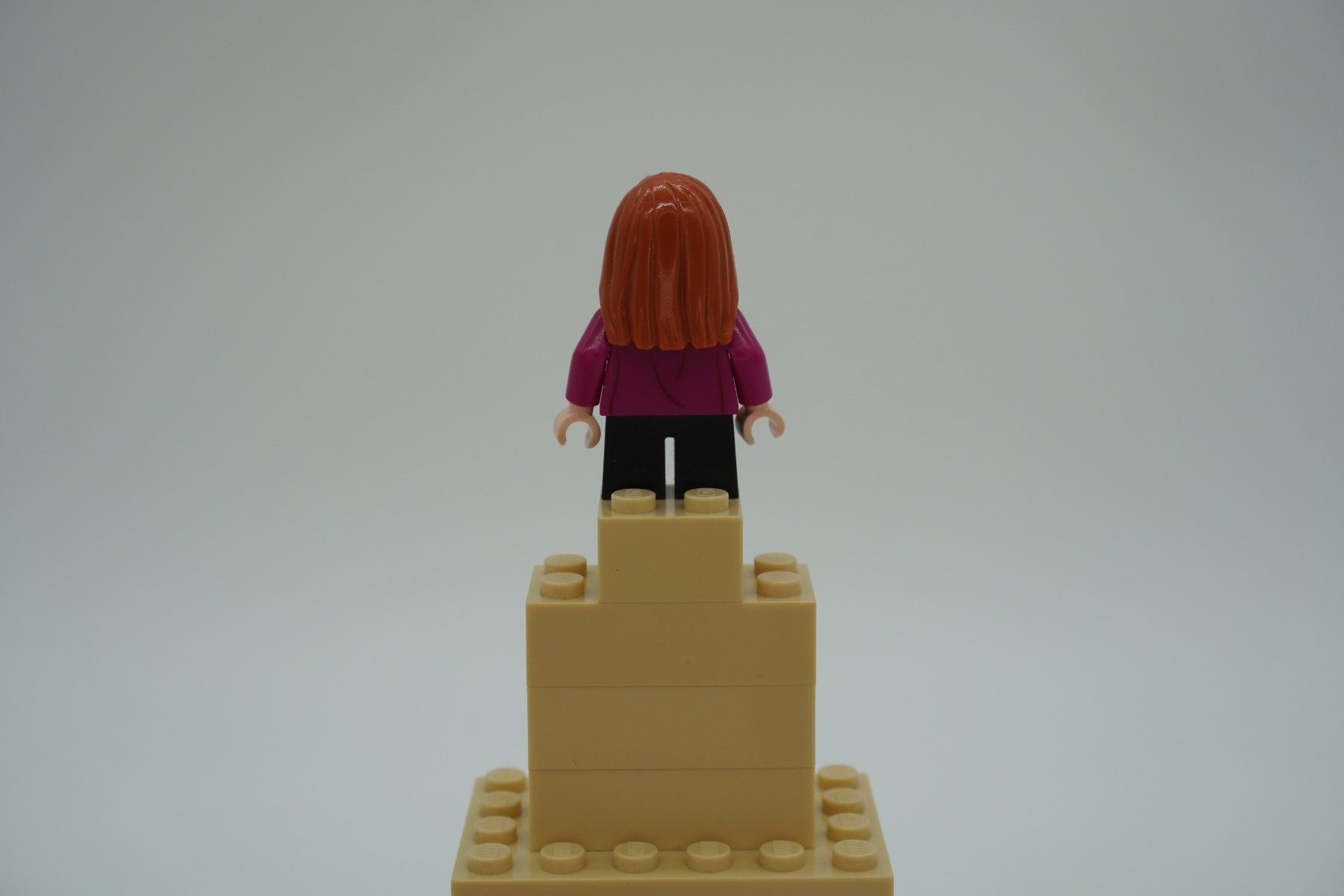 Lego Giocattoli: Lego Harry Potter Weasley Bundle – Usato da Zürich venduto da PWRgZ 4