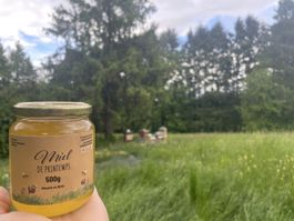 Miel de Printemps 500g à consommer rapidement 